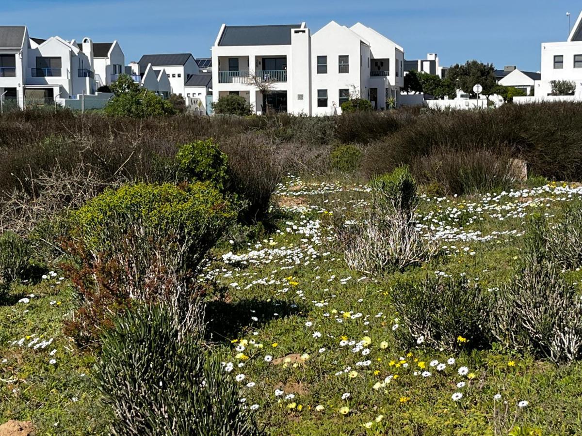 Clam Lagoon Langebaan Exterior foto